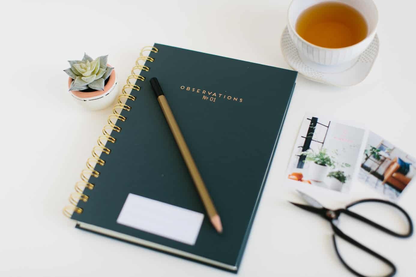 SHOULD A BLOG CHOOSE A NICHE GOING FORWARD OR NOT?